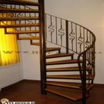 Scara spirala (49)